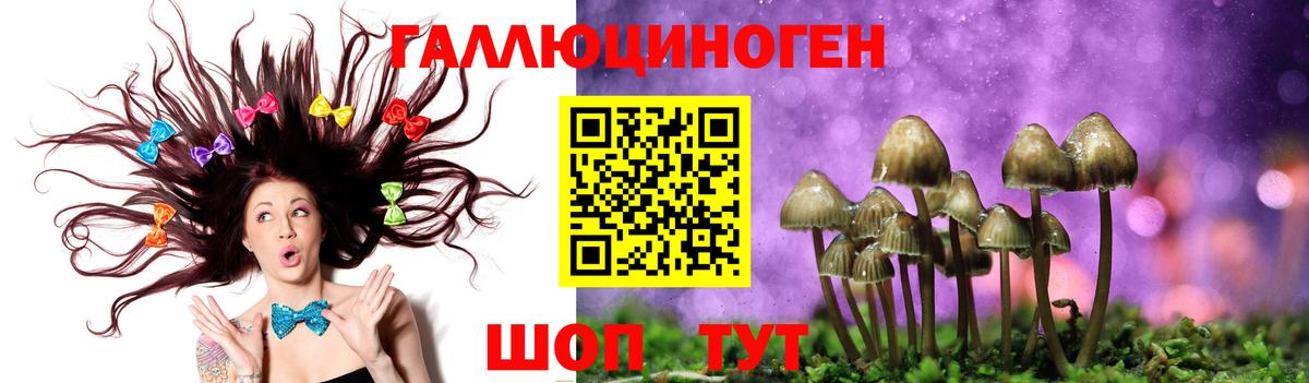 Благовещенск  Галлюциногенные грибы мицелий  Вход с VPN 